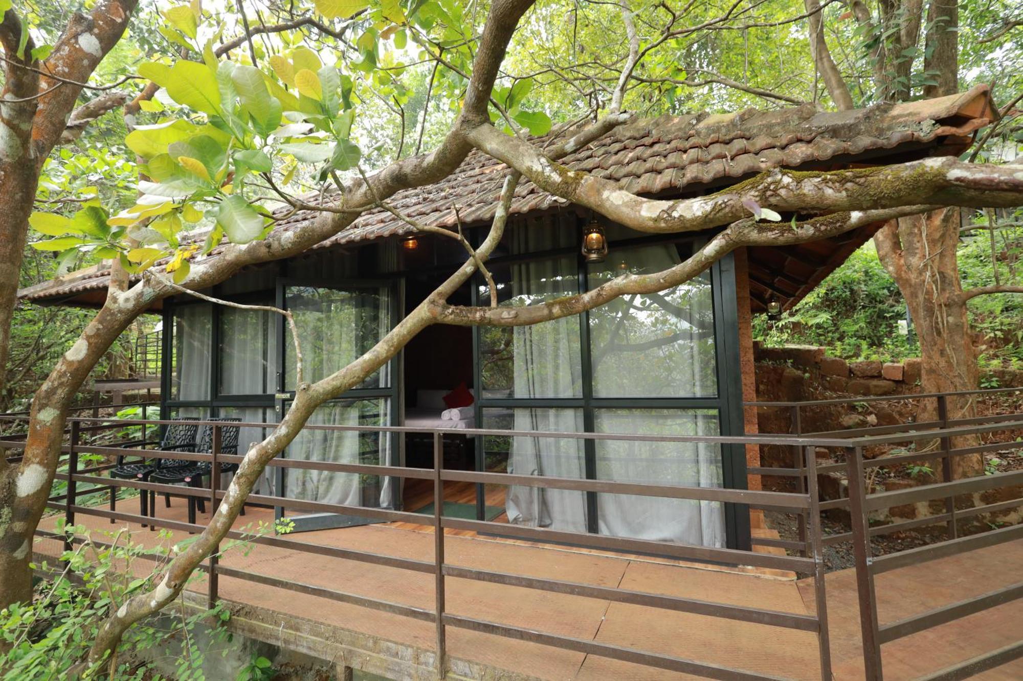 Holistic Stay Eco-Resort & Ayurvedic Retreat Paithalmala Экстерьер фото